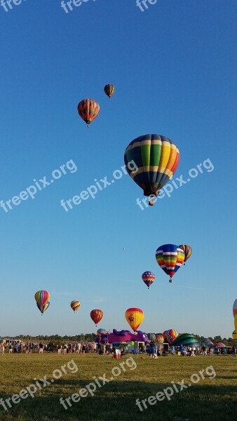 Balloons Festival Celebration Holiday Festive