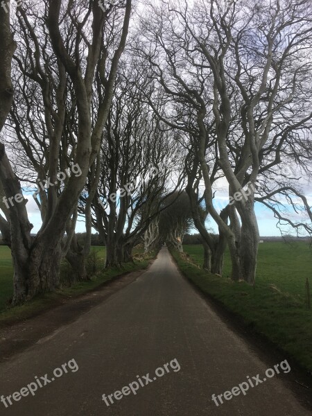 Ireland The Dark Hedges Game Of Thrones Series Trees Road