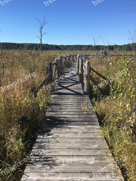 Boardwalk Marsh Wetland Nature Sky