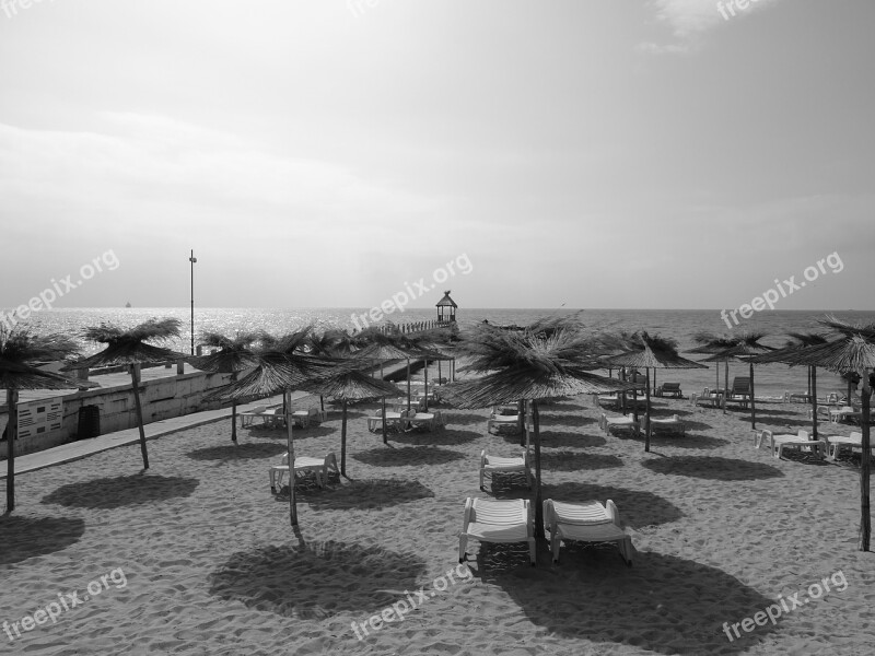 Beach Sunbathing Sea Holiday Summer