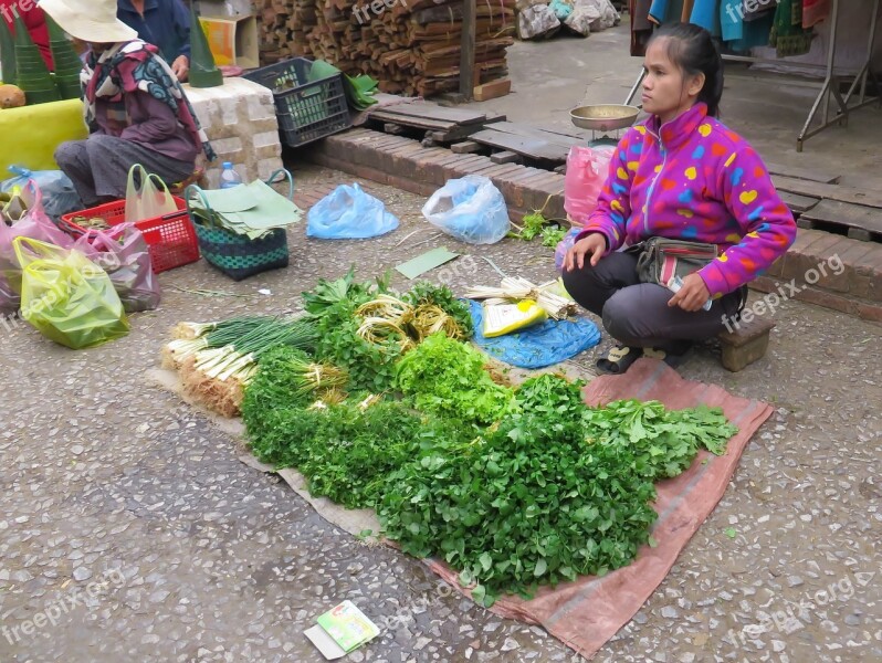 Laos Market Merchant Vegetables Pink