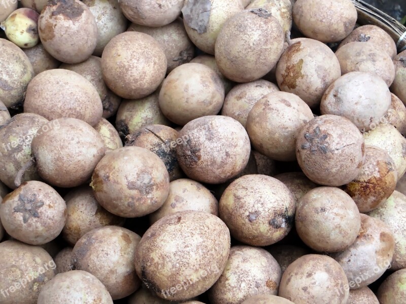 Laos Market Longan Fruit Power