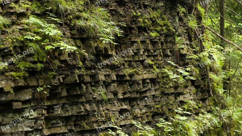 Rocks The Stones Mountains Wall Vegetation