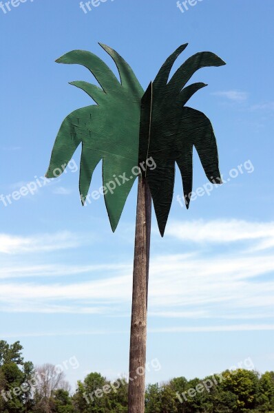 Fake Palm Tree Free Photos