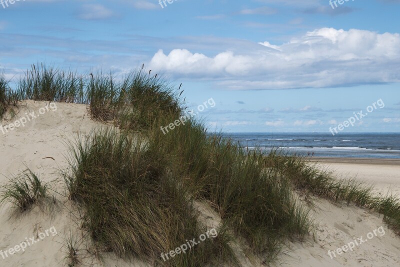 Dune Baltrum North Sea East Frisia Beach Sand