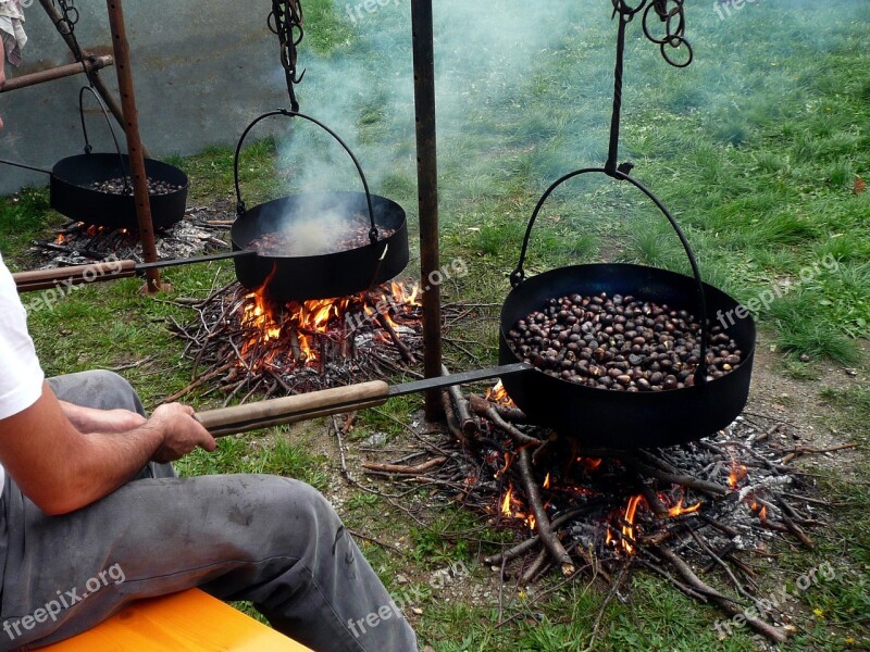 Sweet Chestnuts Maroni Campfire Fry Free Photos