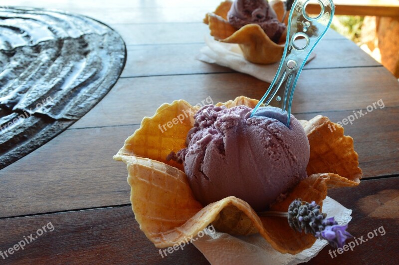 Ice Cream Ice Cream Lavender Delights Delicious Gastronomy