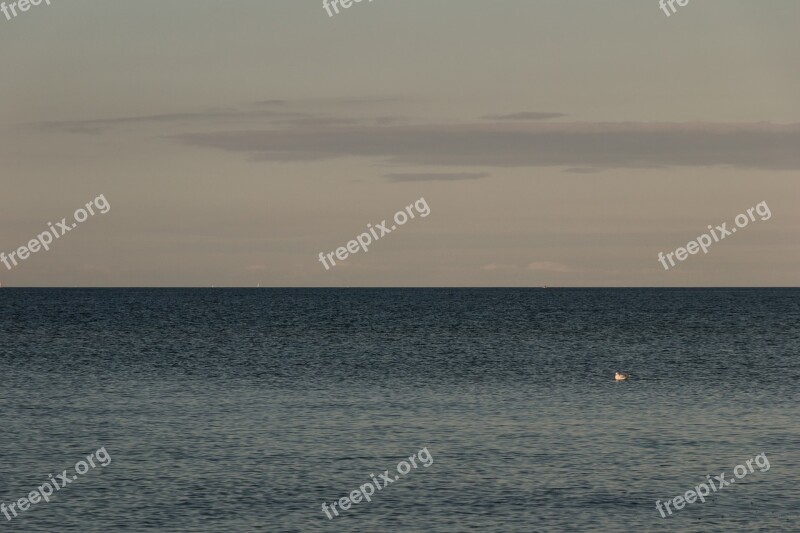 Wave Baltic Sea Sea Water Beach