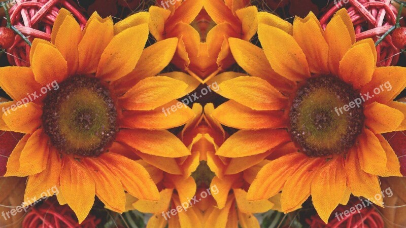 Sunflower Mirrored Art Creative Artwork