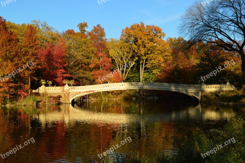 Central Park Landscape New York Manhattan Autumn