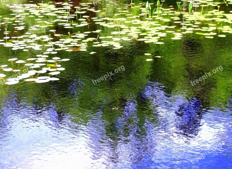 Reflection Water Ripples Background Free Photos