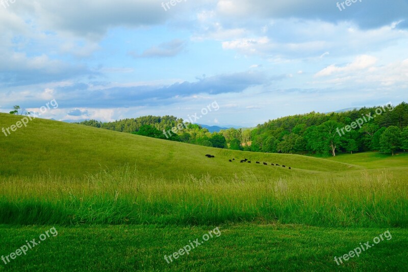 Mountains Carolina Pasture Landscape Nature