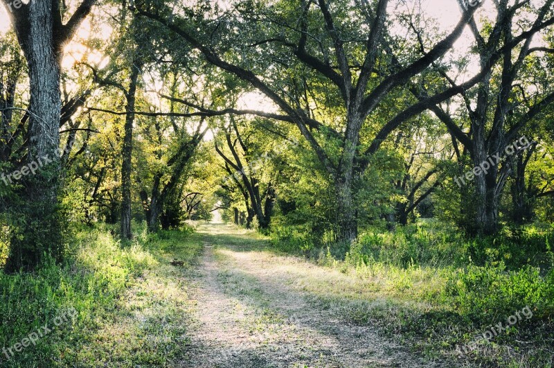 Pecan Agriculture Trail Forest Grove