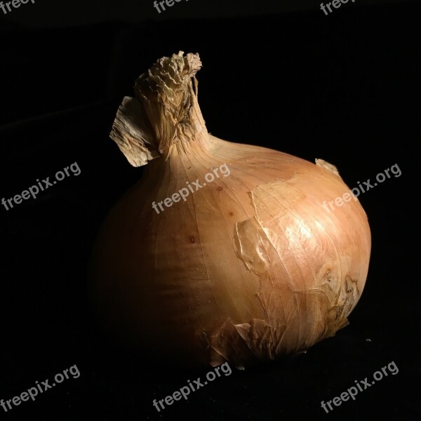 Black Low Key Onion Vegetable Drop Out Black