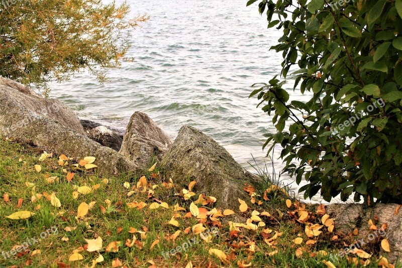 Lake Beach Autumn Cloudy Bodensee