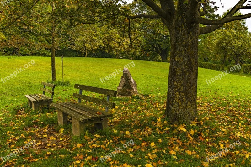 Bank Autumn Resting Place Leaves Forest