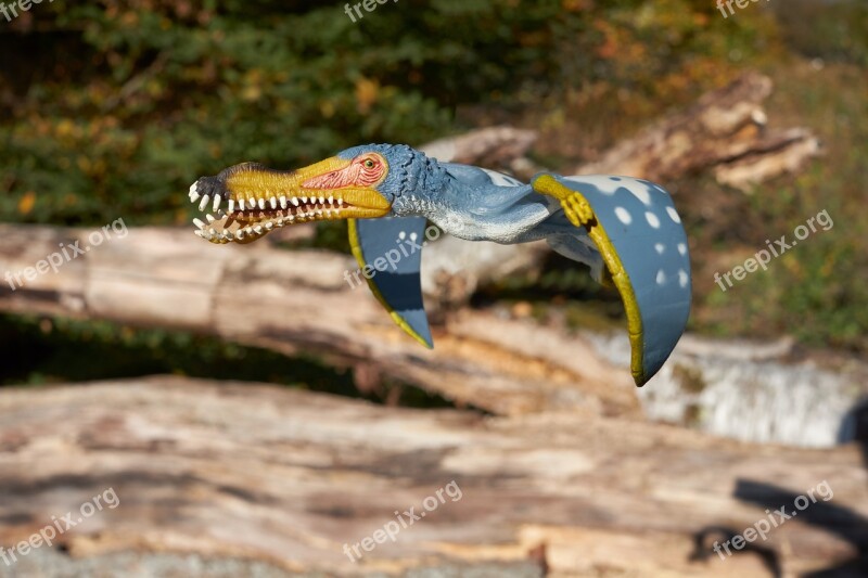 Dinosaur Flying Pterosaur Free Photos