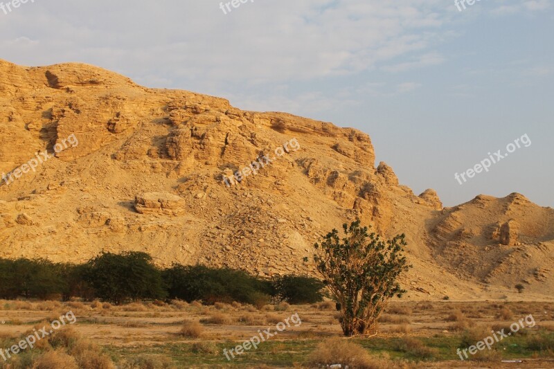 Saudi Arabian Desert Desert Desert Plants Sedimentary Rocks Limestone