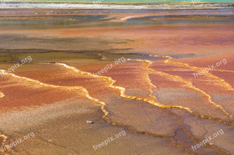 Grand Prismatic's Bacterial Mats Thermal Pool Spring Geothermal