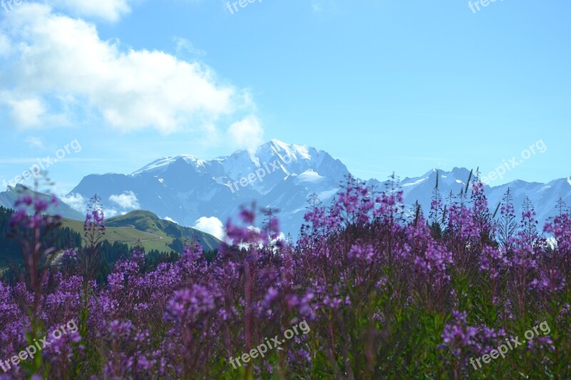 Lessaisies Alps Beaufort Free Photos