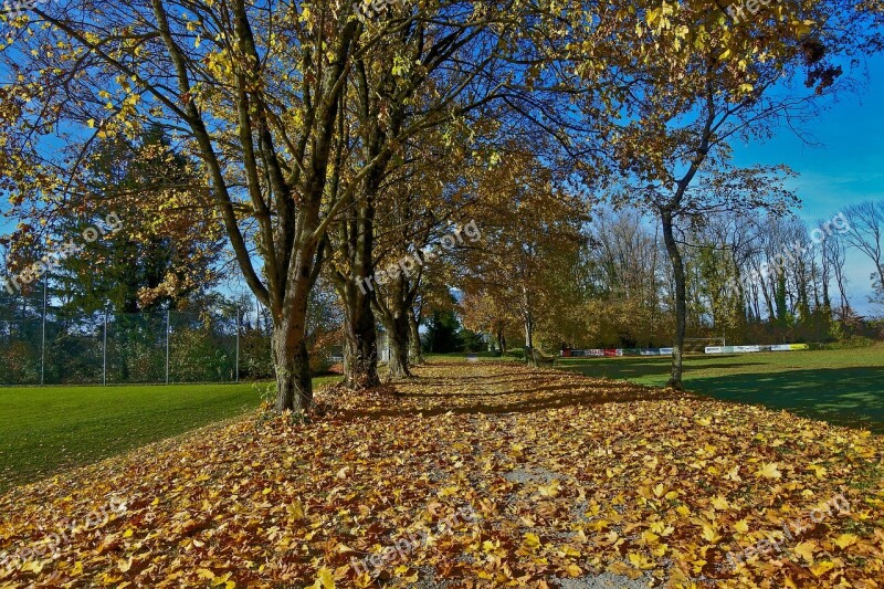 Autumn Late Autumn Leaves Autumn Colours Colorful