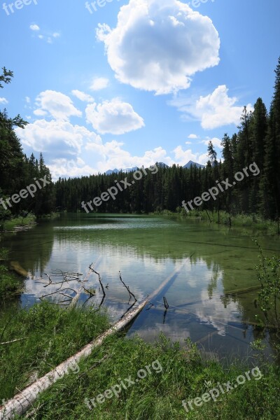 Canada Lake Forest Nature Water