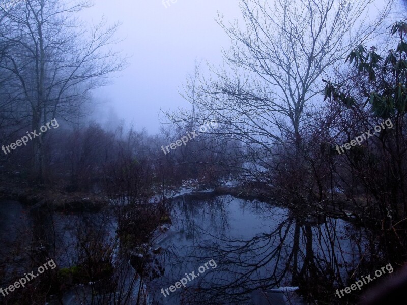 Fog Foggy Wetland Swamp Promised Land State Park