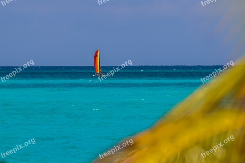 Cuba Ciego De ávila Jardines De La Reina Cayo Coco Una Bela En El Horizonte