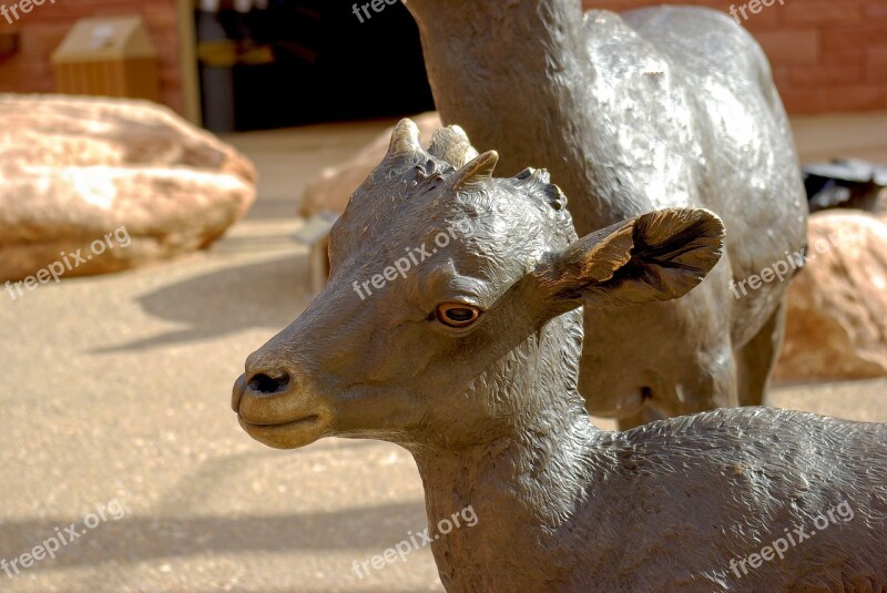 Bighorn Lamb Sculpture Bronze Statue Sculpture Artwork