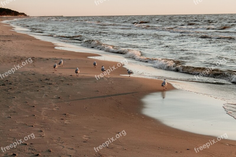 Sea Beach Holidays Water Landscape