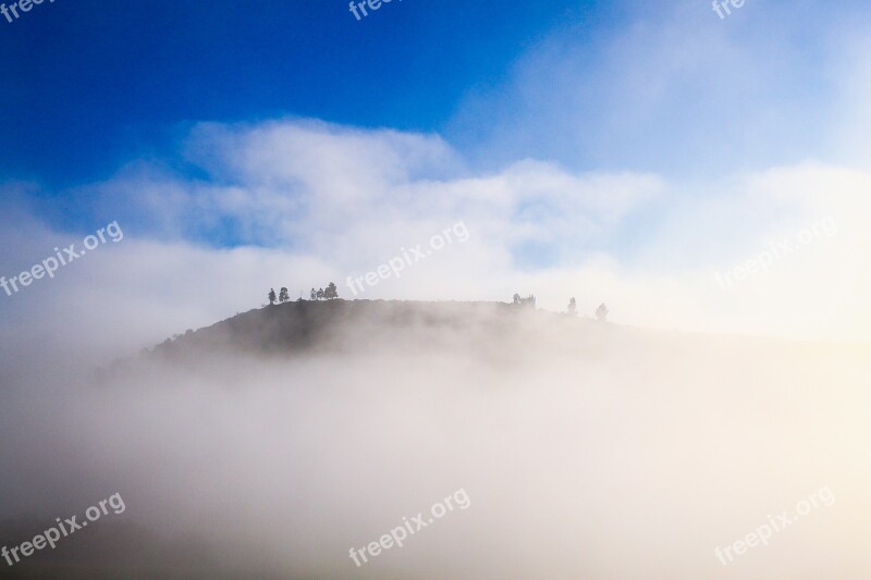 Hilly Countryside Highland Trees Plant