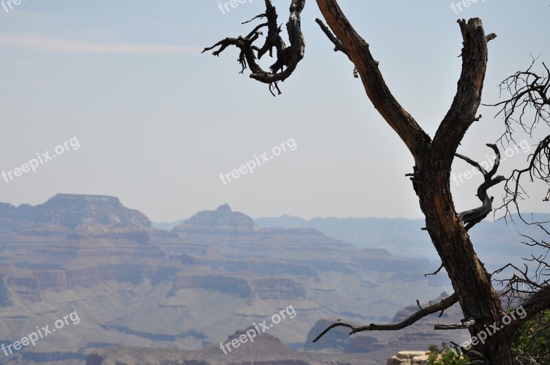 Grand Canyon Usa National Park Gorges Nature