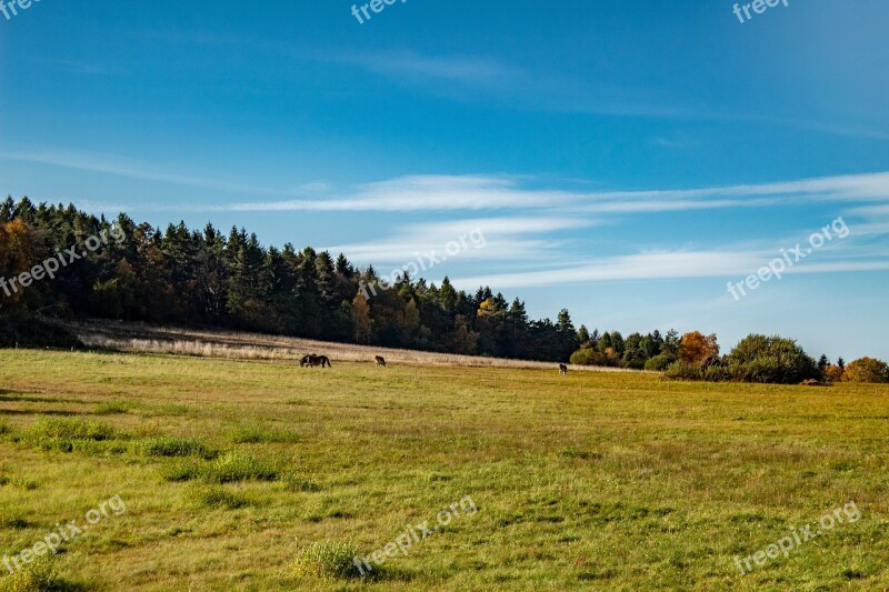 Nature Landscape The Stage Grass Natural