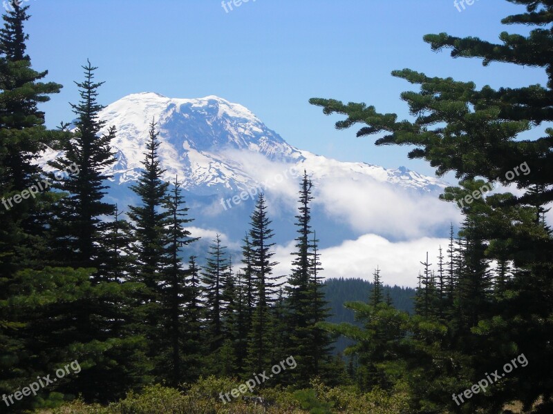 Mount Rainier Mountain Rainier Washington Landscape