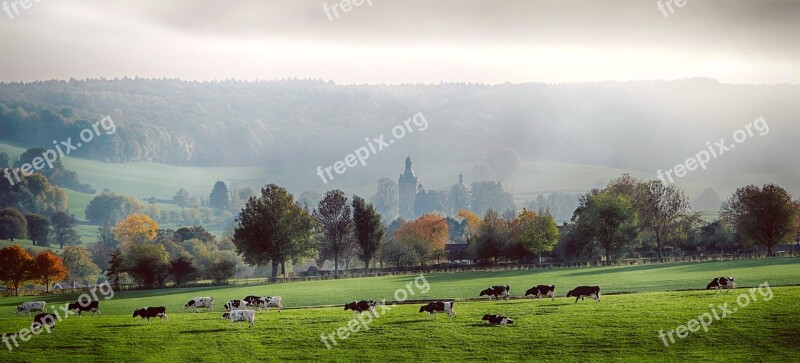 Fog Landscape Forest Autumn Distance