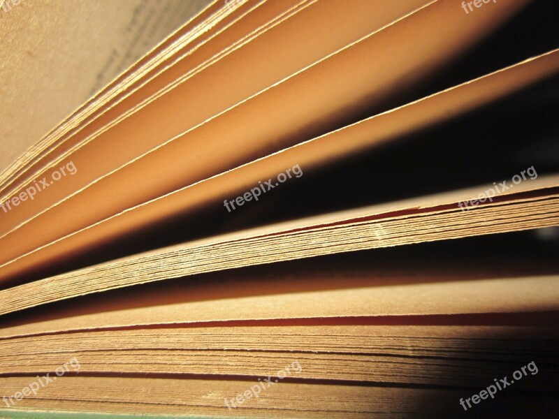 Book Pages Read Old Brown