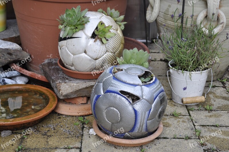 Diy Football Plant Upcycling Free Photos