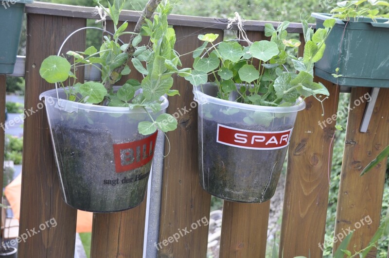 Bucket Diy Planting Pot Plant Cress