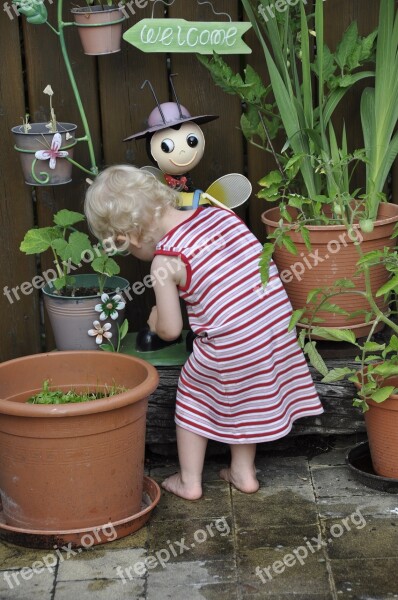 Child Terrace Play Plant Free Photos