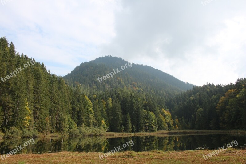 Forest Lake Water Trees Mountain