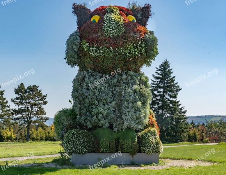 Flowers Figure Flowers Summer Park Flower Figures