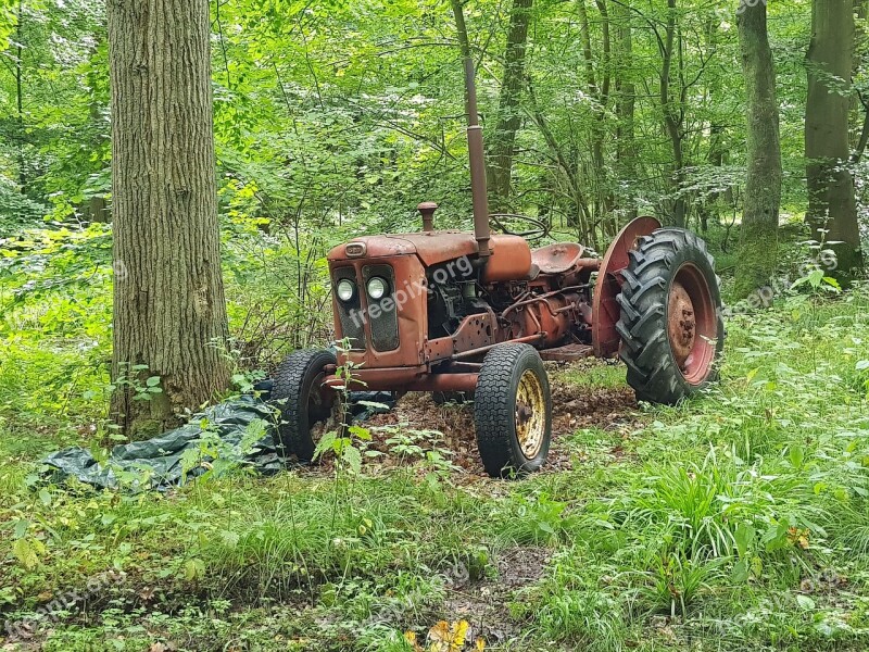 Tractors Forest Nature Denmark Oldtimer