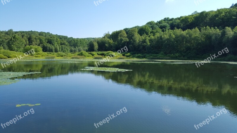 Lily Pads Lake Free Photos