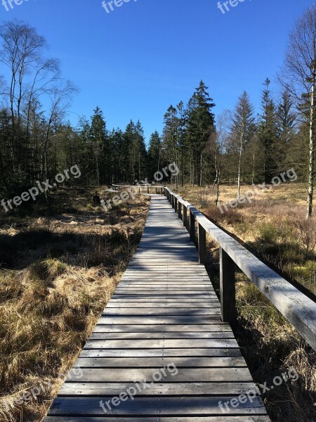 Moor Wood Web Nature Reserve Landscape