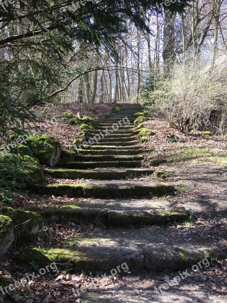 Stairs Forest Gradually Forest Path Landscape