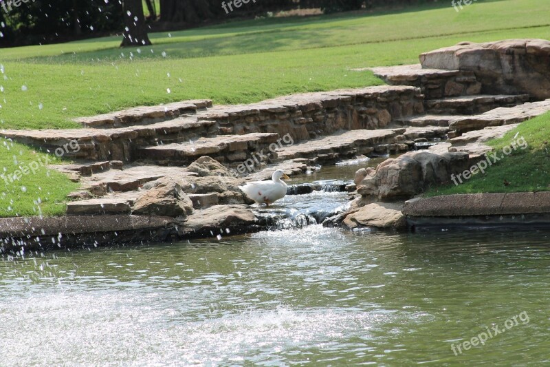 Japanese Garden Bartlett Tennessee Duck Pond