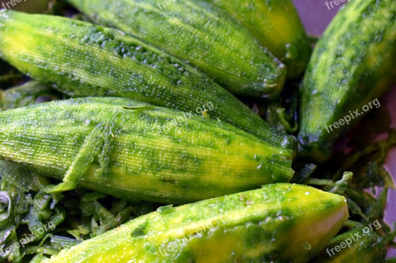 Bitter Melon Bitter Gourd Peeled Balsam-pear Momordica Charantia