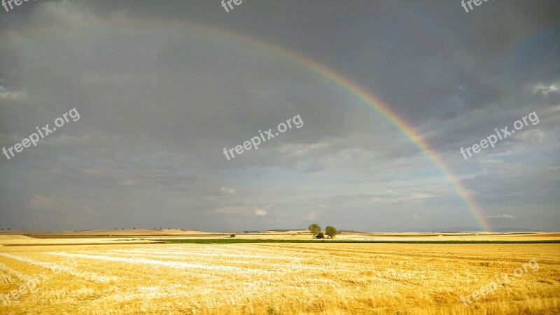 Field Castilla Rainbow Yellow Sky