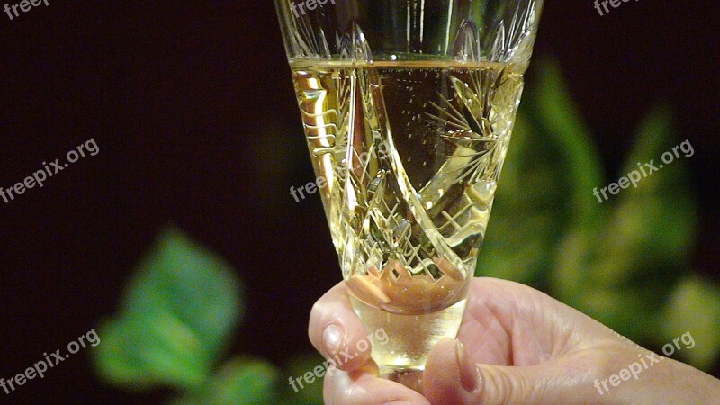 Champagne Glass Hand Alcohol Free Photos