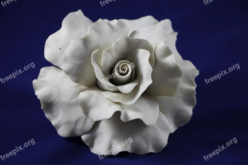 Rose Deco Decorative Ornament Romantic